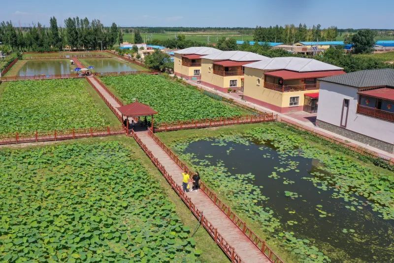 博乐市,第五师双河市入选这项荣誉称号!_腾讯新闻