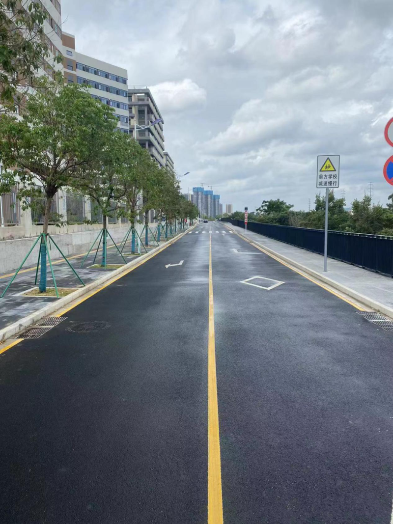 长约428米,红线宽14米,双向2车道,设计速度为30公里/小时,为城市支路