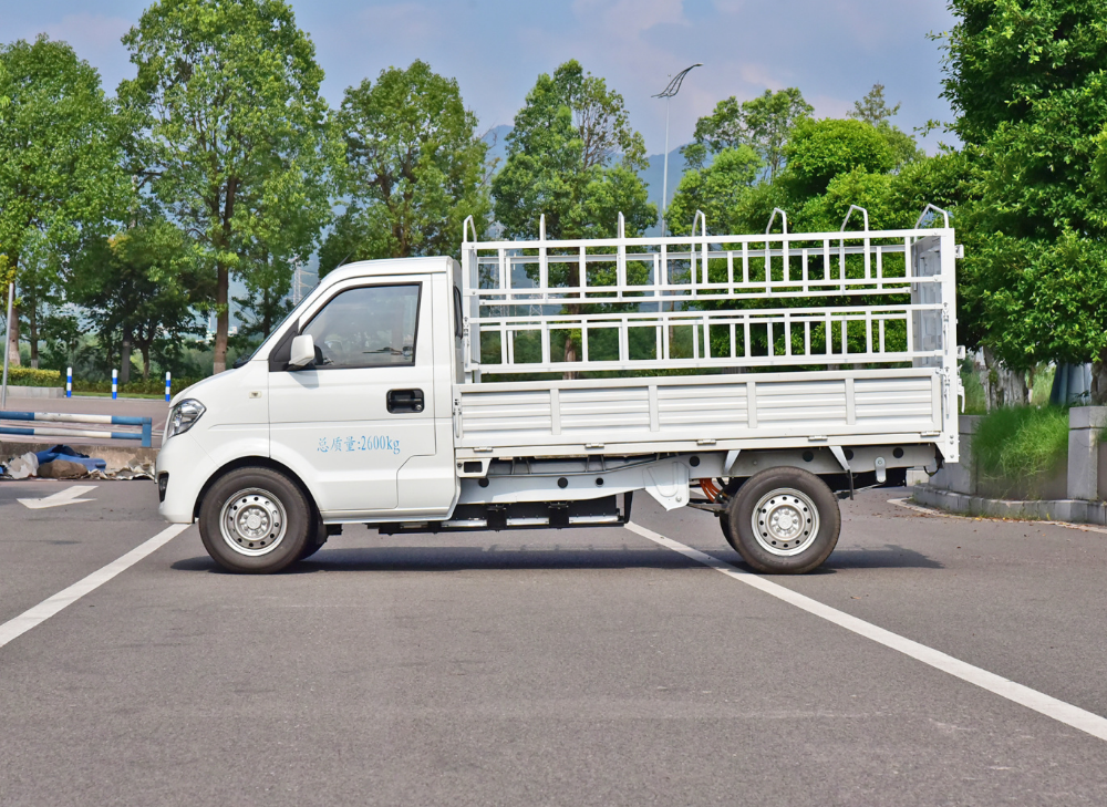 多拉快跑,皮实耐造,后期维护成本低,瑞驰新能源ec31打工人的首选