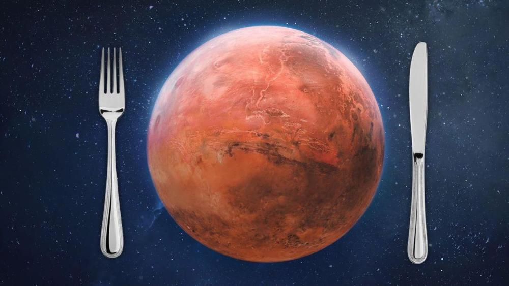 替世界首富埃隆·马斯克的火星计划设计食谱：人在火星，能吃点啥托福听力评分表新东方与新航道的托福