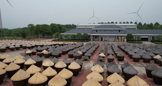 为重新擦亮孝感应城这块金字招牌,李佳剑从医药行业果断跨界到食品