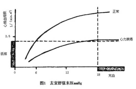 张志敏：俄导弹报复基辅，俄乌冲突为何受伤最重的是乌和欧欧洲？语文国家玮