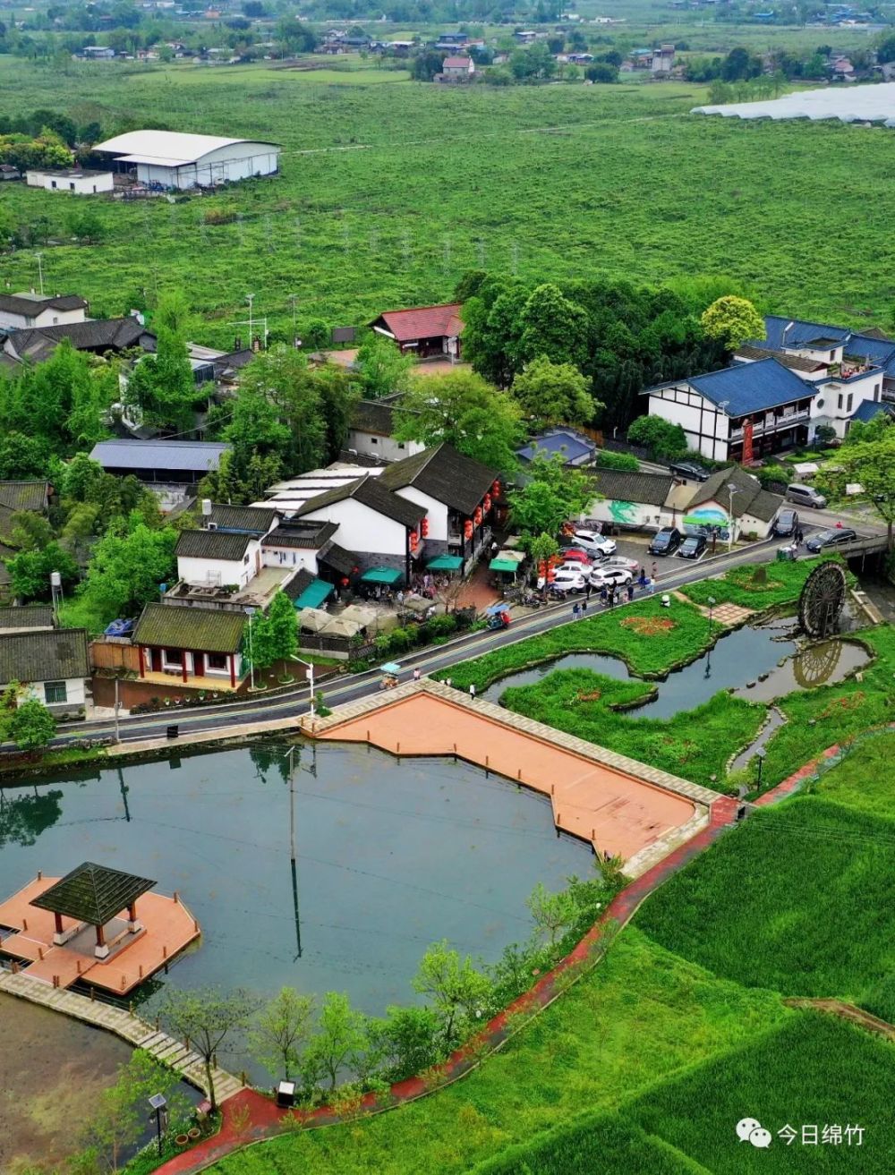 非凡十年九龙镇做活美丽山水文章走好农文旅融合新路