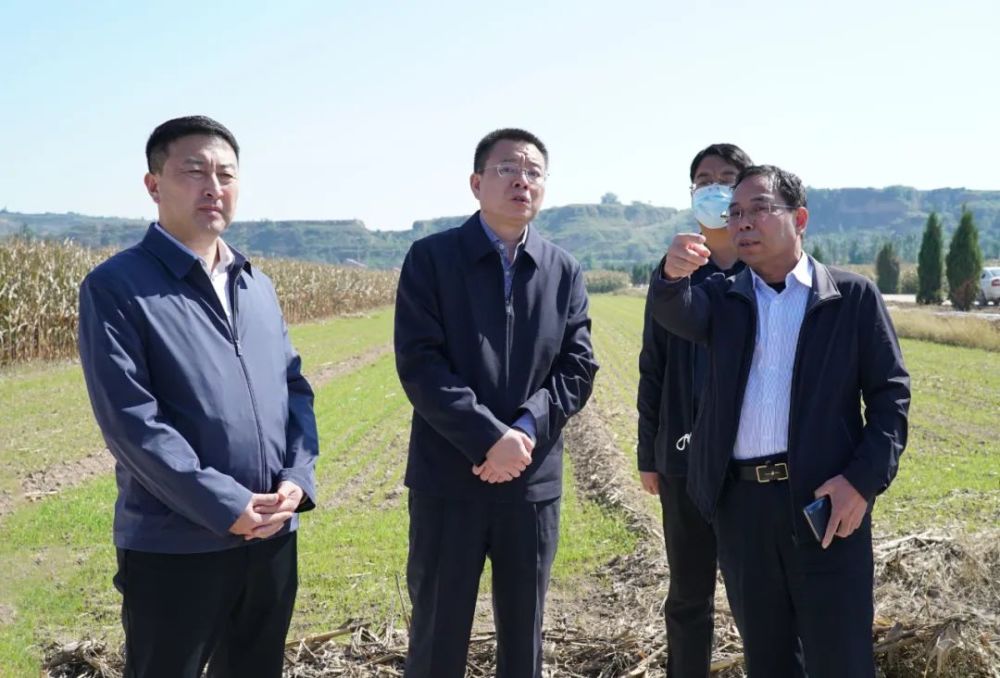 孙惠生一行先后前往北董乡,高显镇,里村镇就高标准