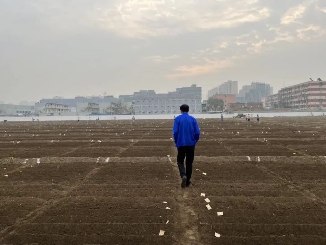 秋天吃“煲”｜从煲汤到煲仔饭，“煲”中天地有多大？小学六年级英语课程