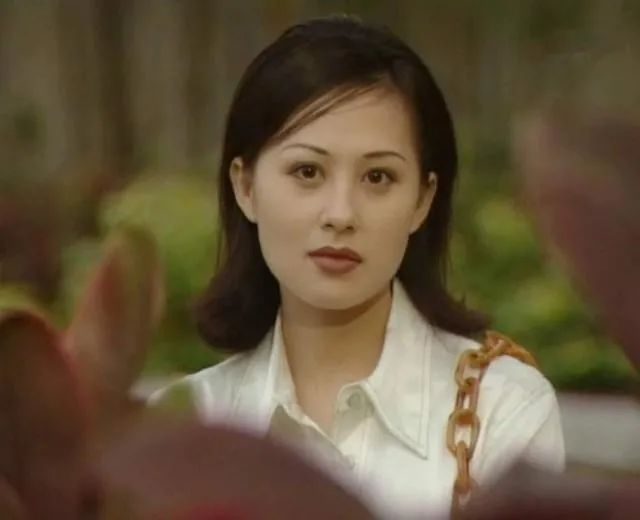 52岁“小昭”江希文被爆新恋情，曾被前律师男友家暴反目闹上法庭_腾讯新闻