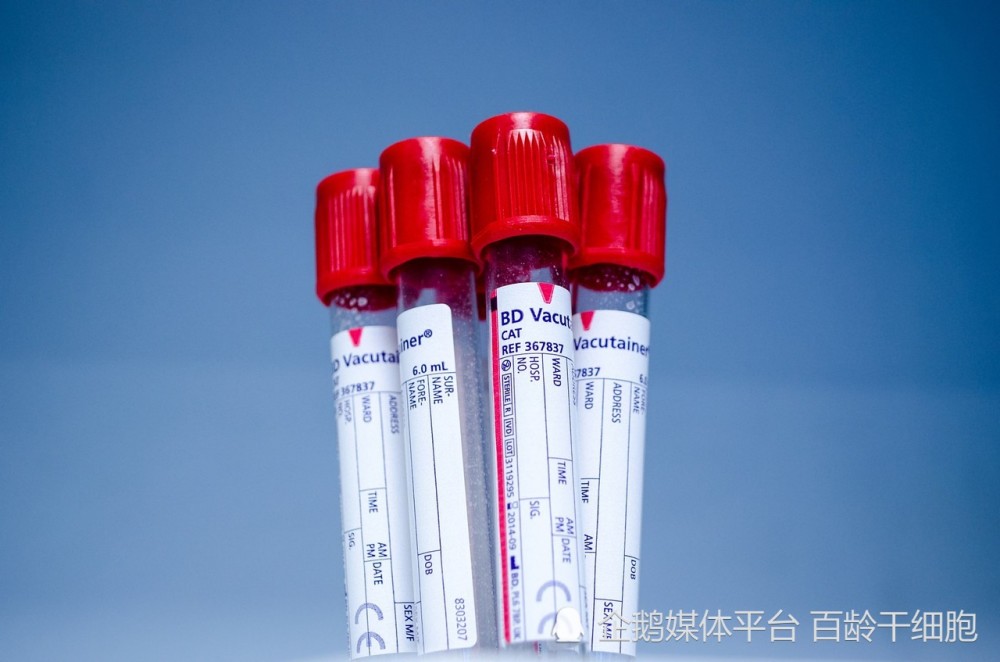 干细胞的原理与作用？