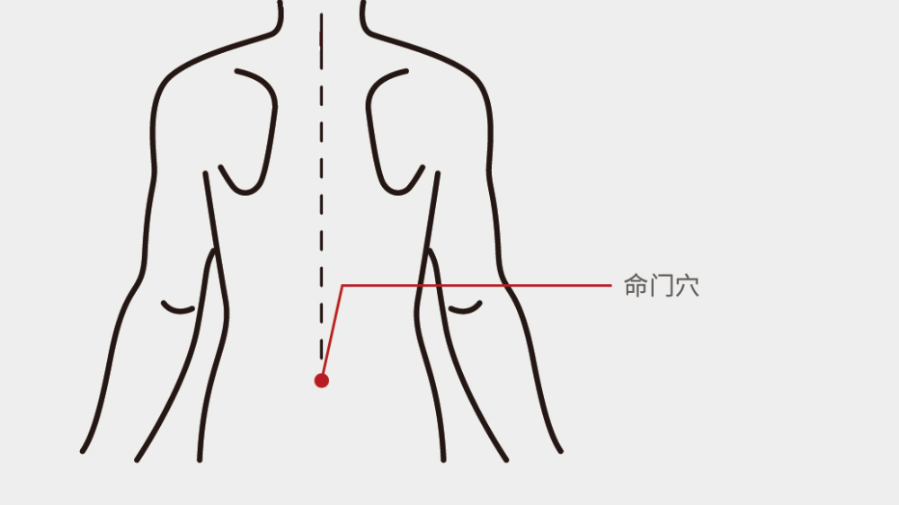左右平行移向背后,两指会合之处便是命门穴的位置从"命门穴"进入的"寒
