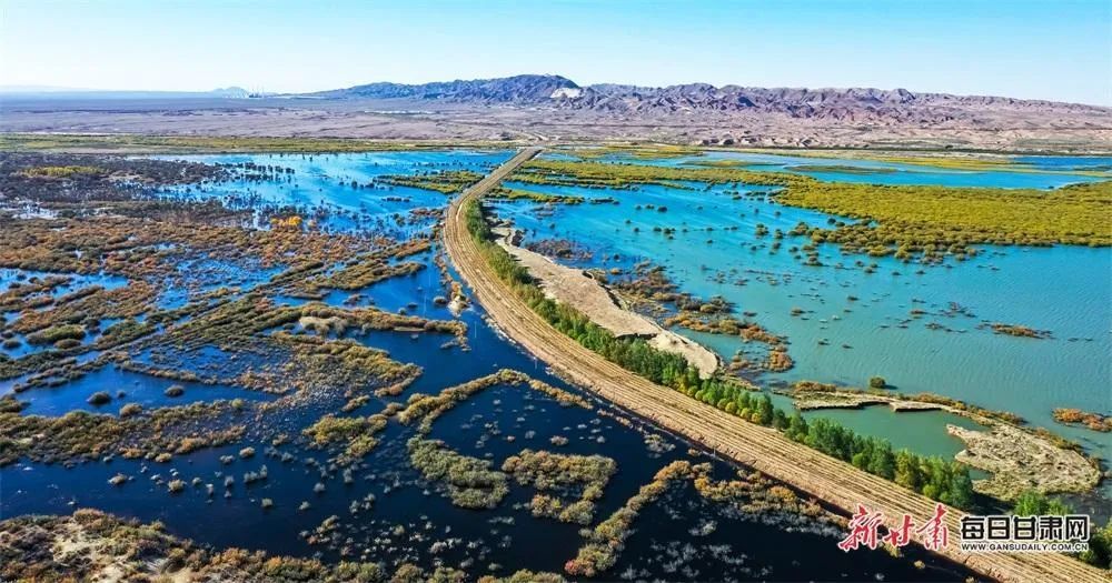 石羊河国家湿地公园图片