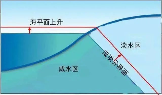 李兰娟院士：武汉市是安全的武汉人是健康的英语碰地雷游戏怎么玩