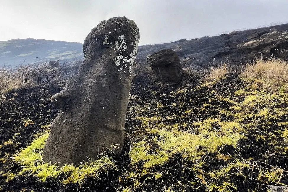 paoa所說,在死火山拉諾拉拉庫(rano raraku)地區周圍受影響的數百座