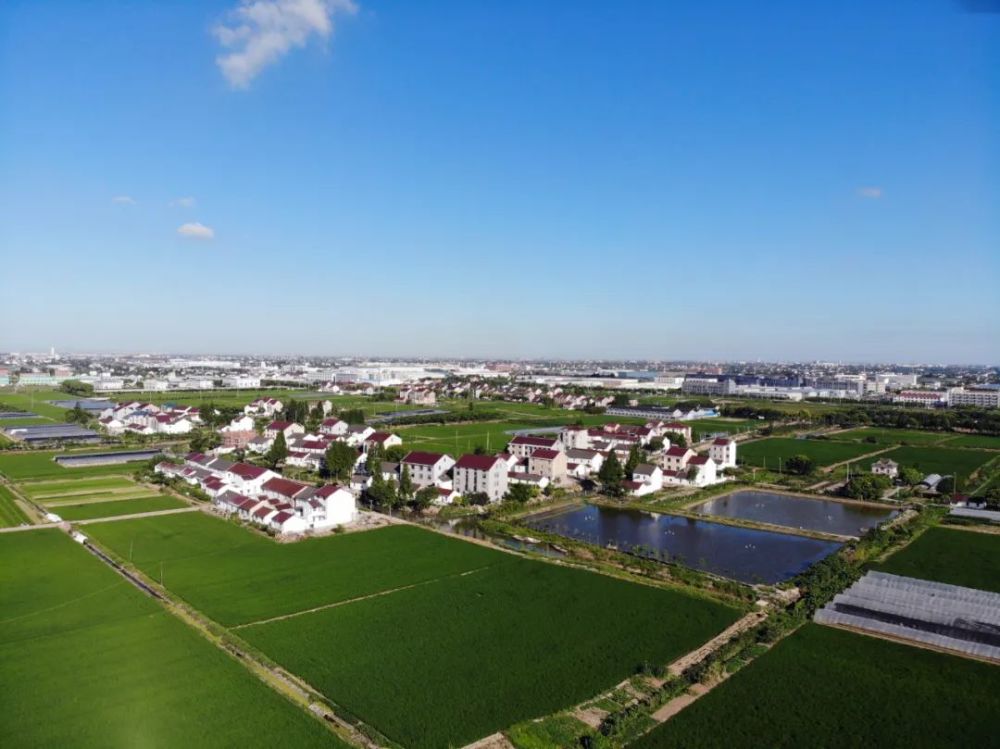 金汇镇创造新时代令人刮目相看充满期待的和美金汇非凡十年出彩奉贤