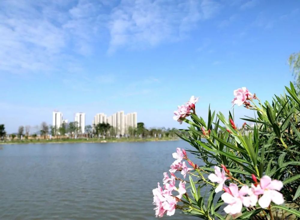 柳江多了个滨江公园美成这个样子就藏在