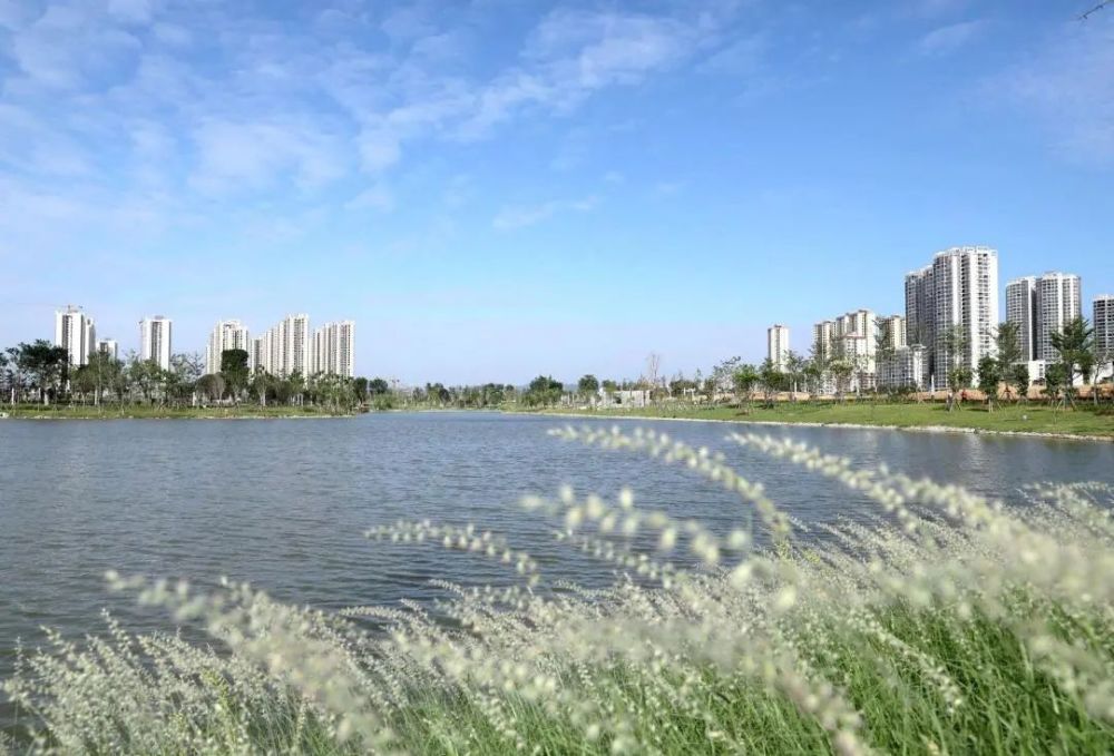 柳江多了个滨江公园美成这个样子就藏在