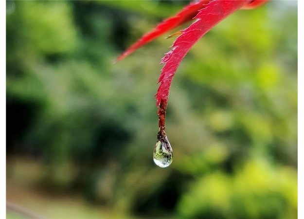 宿迁:秋风秋雨秋意浓