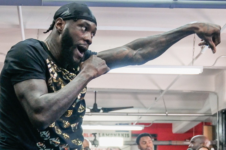 42胜41场ko的维尔德公开训练自信再打3年周末迎战赫莱纽斯