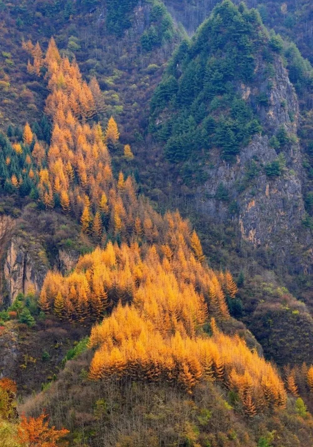 当漳县遇见秋色油画般的美景
