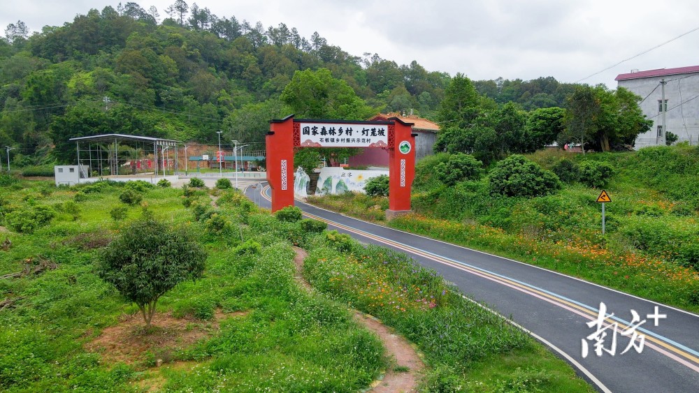 石板镇深入贯彻落实高州市委关于打造"县一片,镇一村,村一组"乡村振兴