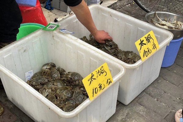 月子會所提供黨參雞湯被罰3萬元，中醫：產婦過補黨參或致大出血掛水有氣泡進去怎么辦心理咨詢師報考