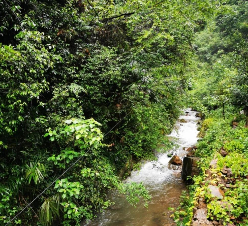 泉水叮咚,唱响了夏日的歌谣,潺潺流水中,时而有了小鱼儿的影子,石头缝