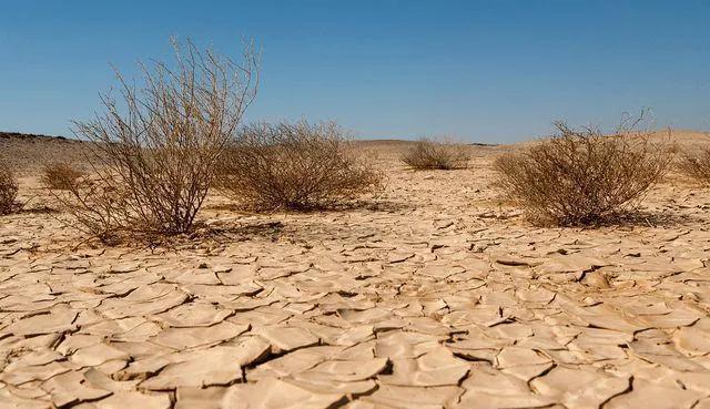 我国荒漠化有多严重?中国已发明"吞沙巨兽",一天吞噬沙漠40亩