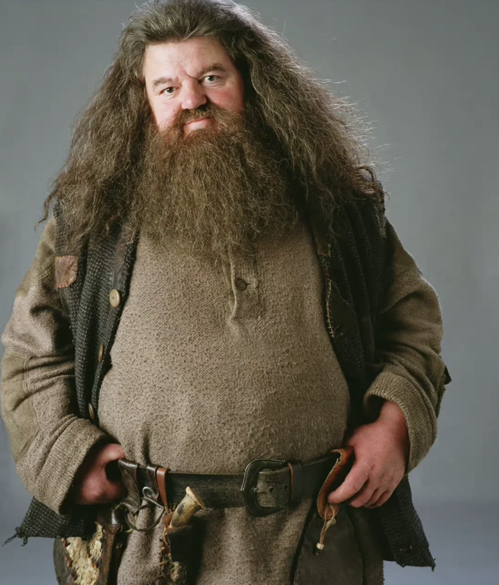 《哈利·波特》里"海格"扮演者去世,这已是第九位离开的人了