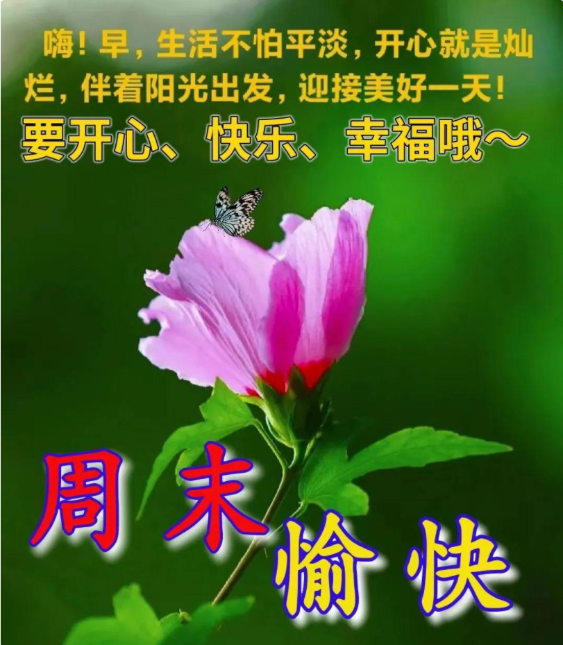 周末早上好唯美带字图片,早安问候语正能量励