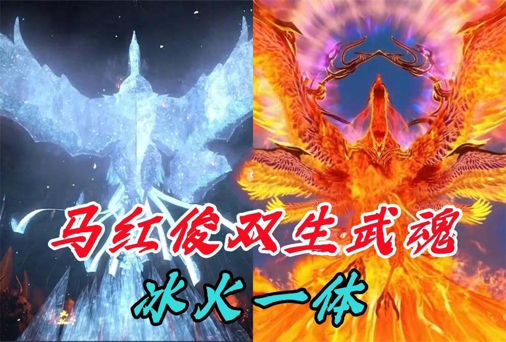 再加上一个双生武魂的设定,可以写成冰火双凤凰,或者龙凤双武魂