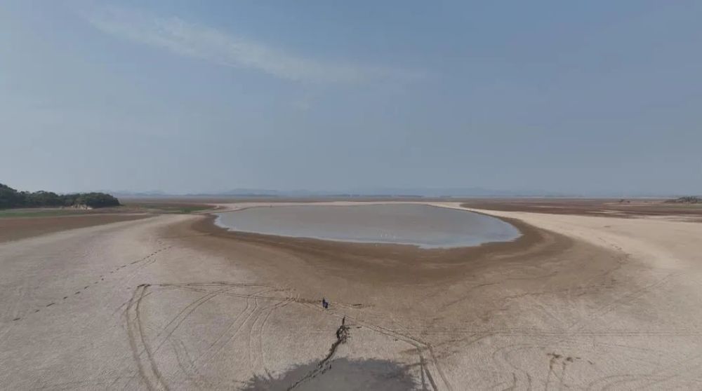 空前干旱导致鄱阳湖生态灾难，候鸟过冬成大考短视频运营方法