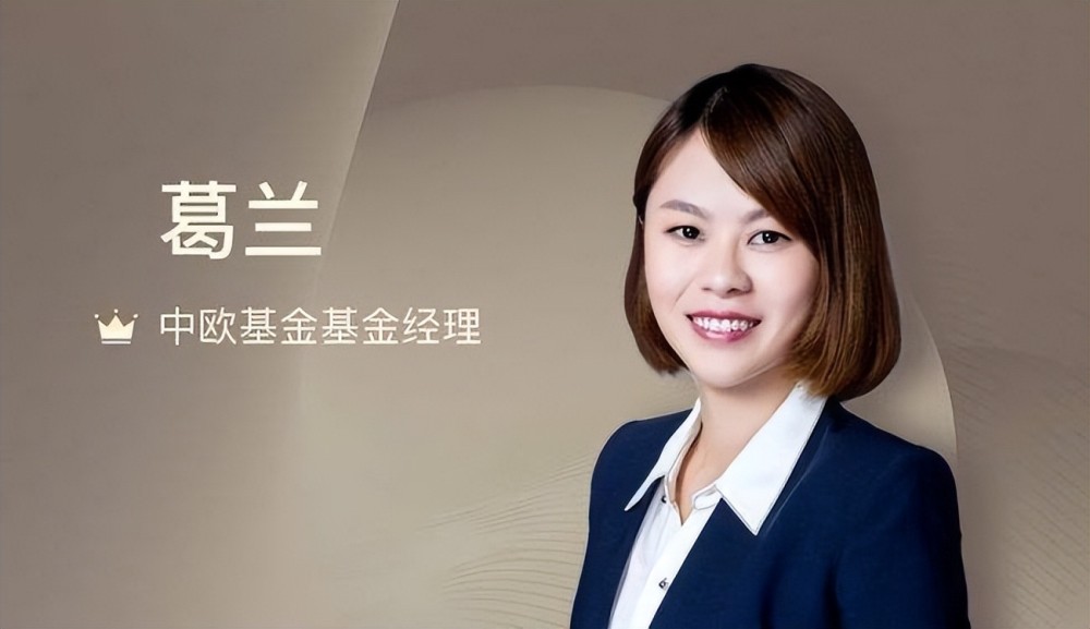 93%,中欧医疗健康强势反弹!葛兰"苦尽甘来"?_腾讯新闻