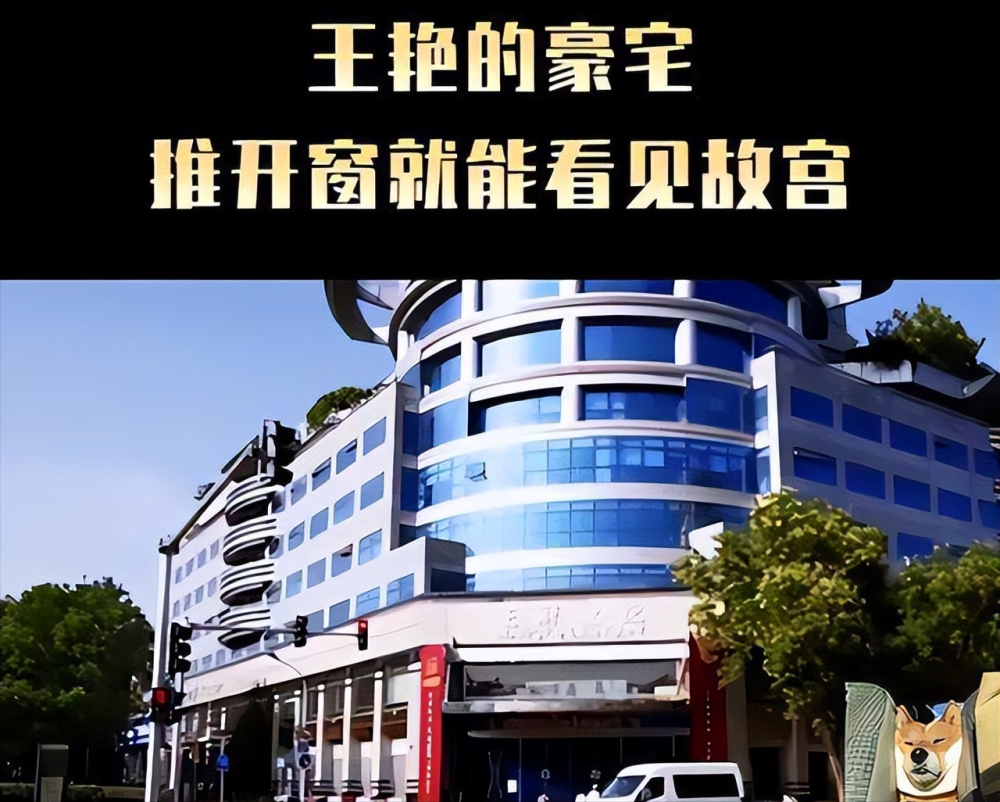 1993年,王志才回国创立了北京王府世纪发展有限公司,这是一家专营房