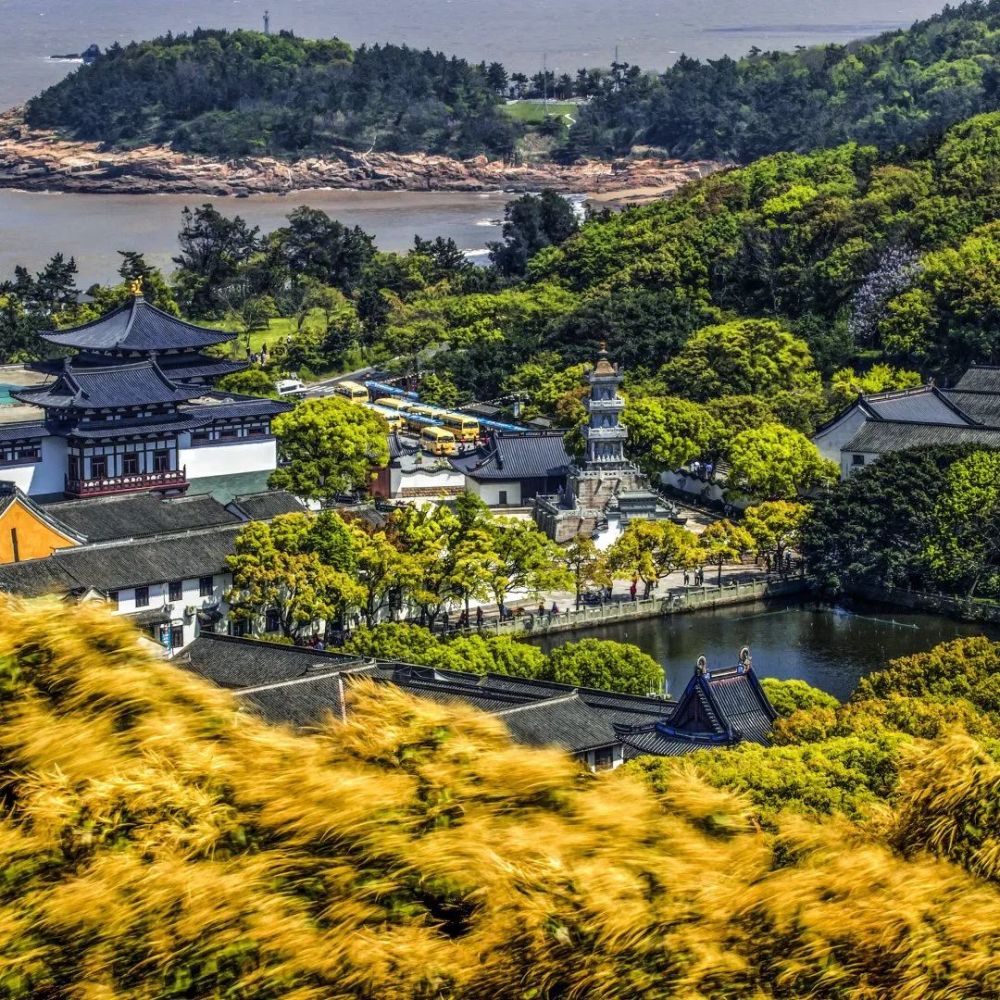 这是你没见过的普陀山秋天,不网红却够烟火!_腾讯新闻