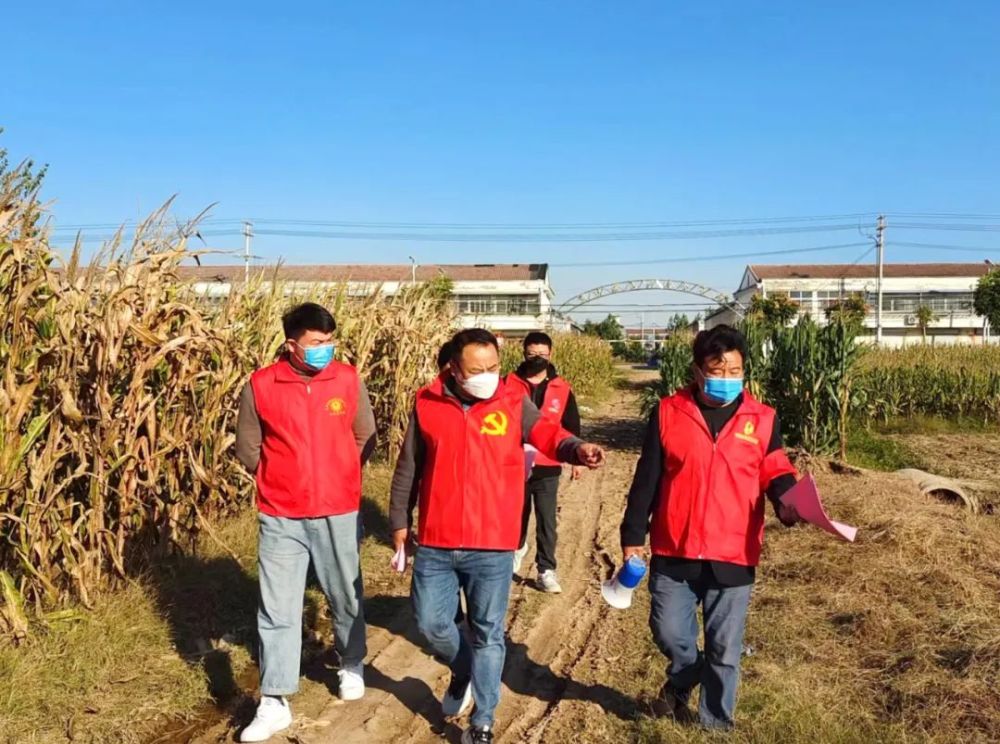 睢寧的田間地頭出現一群紅馬甲他們在幹什麼