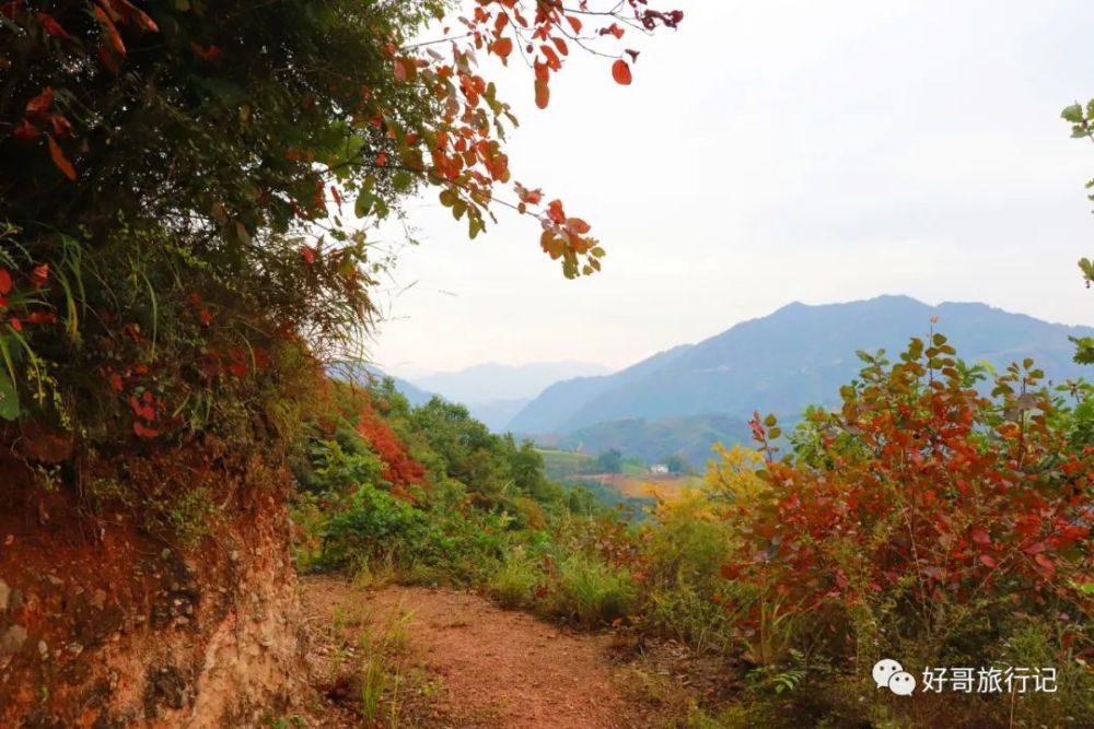 略阳县白水江镇风景图片