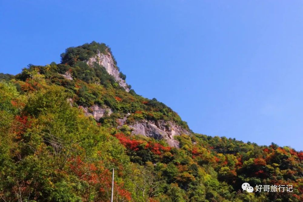 略阳县白水江镇风景图片