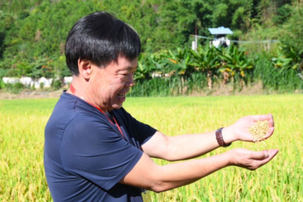 上山的阿卡族农民人图片