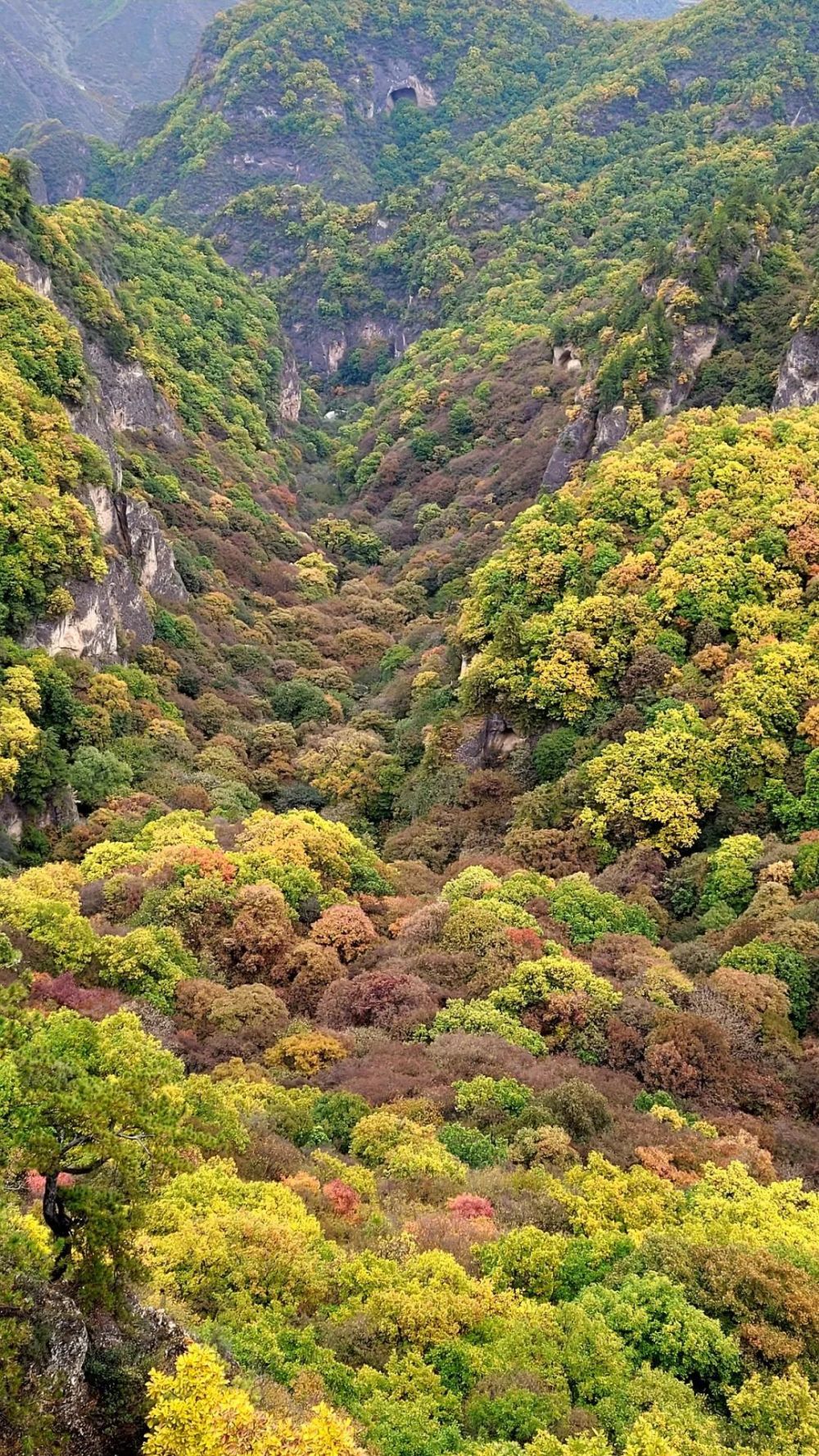 平凉崆峒山秋天的景色图片