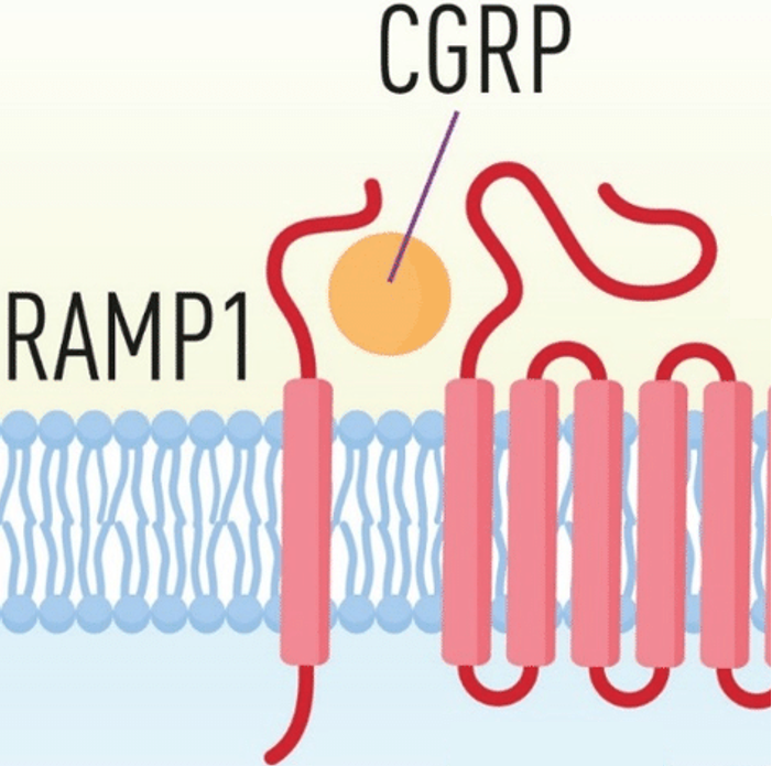 不建议用止疼药背后的科学机制，从结肠炎的疼痛说起_腾讯新闻