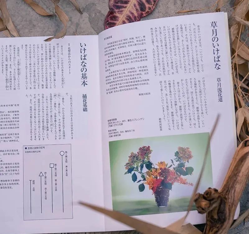 花 草 为友 日 月 生辉 专访草月流一级师范顾问胡兴智 腾讯新闻