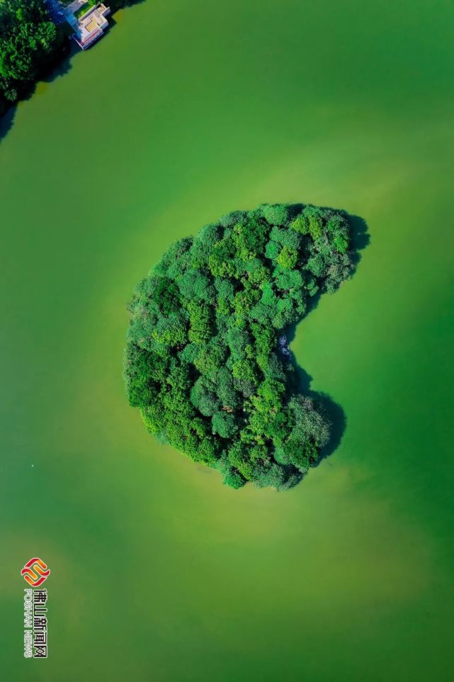 (旋转手机欣赏不一样的绿岛湖)这里是禅城绿岛湖!