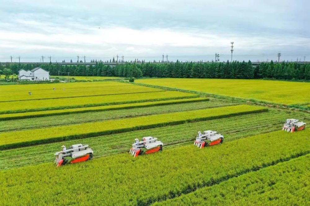 松江区农业绿色发展指数位列全国第一_腾讯新闻