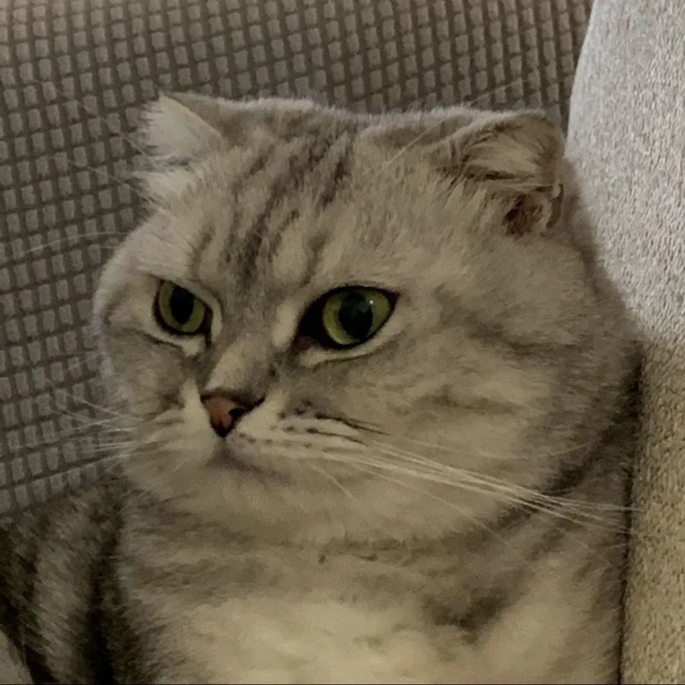 头像|qq头像女生 高质量_腾讯新闻