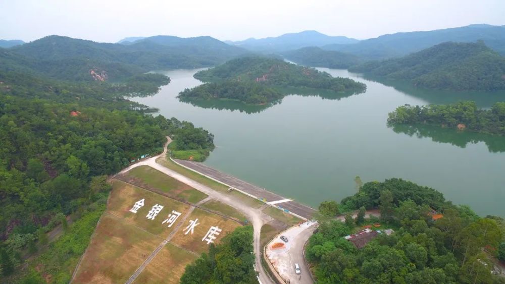 奋进新征程 建功新时代|云浮:实施"赋能强镇兴村"战略 推动乡村振兴走