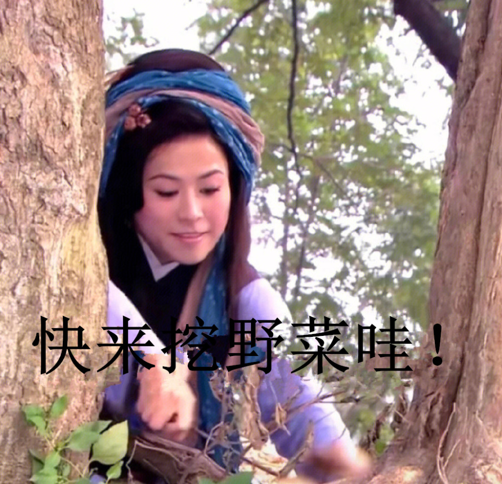 这便是"王宝钏挖野菜文学",网友看完都露出了大导演李安的表情