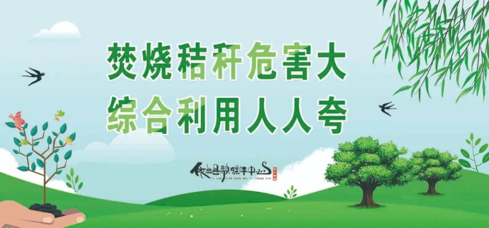 29万志愿者凝聚社会文明进步磅礴力量松鼠ai黄了吗