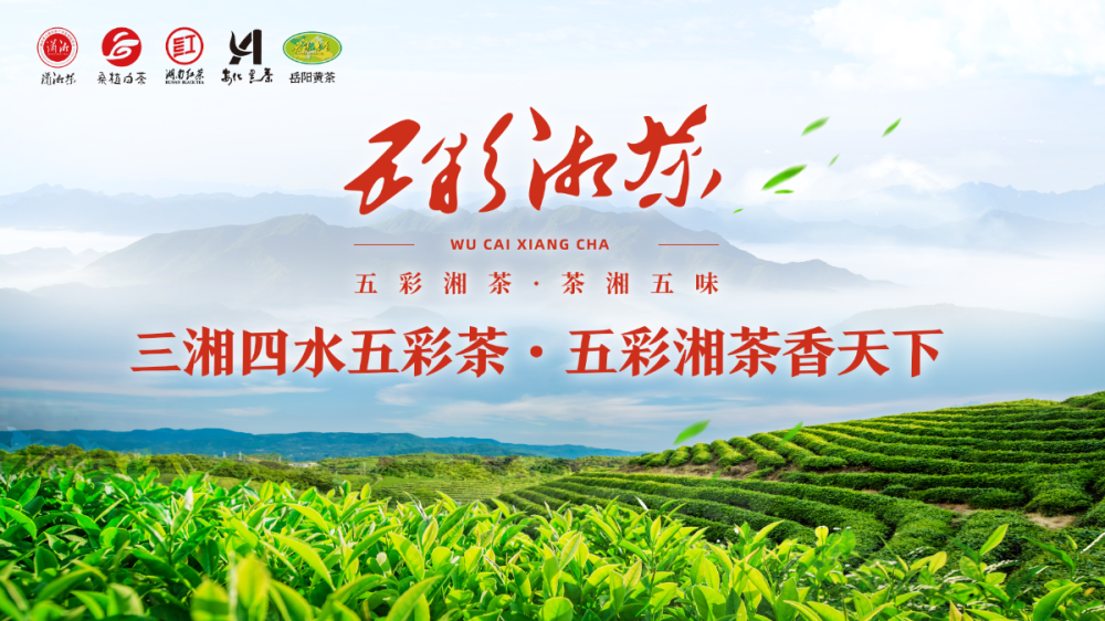 三湘四水五彩茶,五彩湘茶香天下