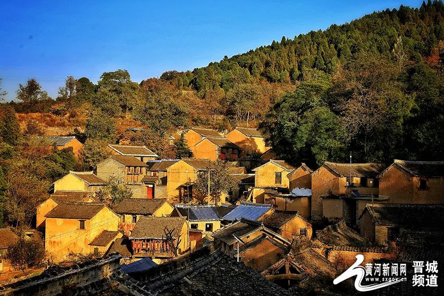 大美山西桃花山庄红了柿子醉了晚秋