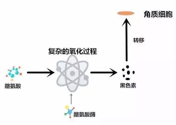 亮肤肽四肽-27 Ttrapeptide-27抑制黑色素生成