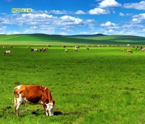 河南电力三级资质转让（干净无经营），河南郑州电力三级资质转让