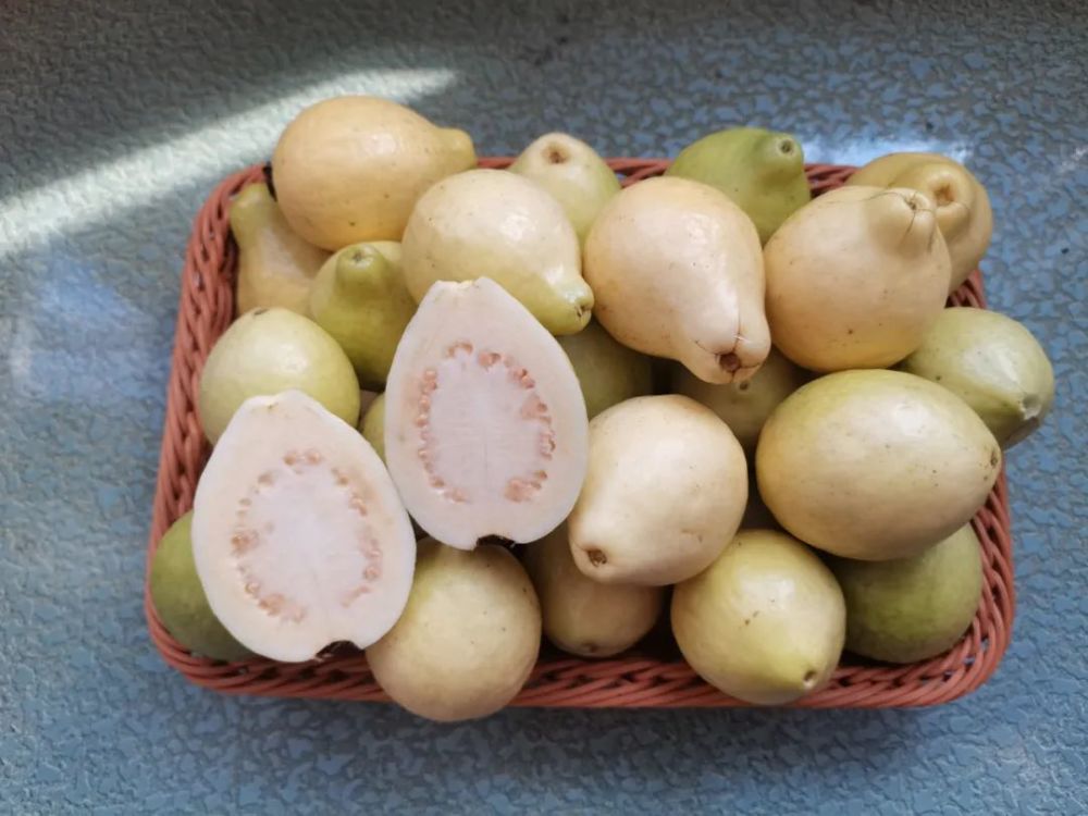 快来腾冲吃"老缅桃"啦!_腾讯新闻